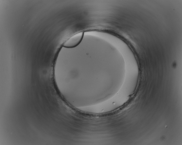 X0000094221459200711241711