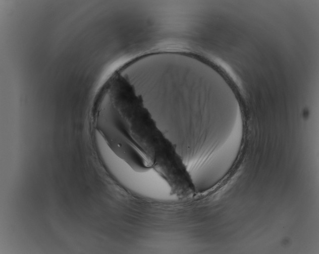 X0000094221461200711241711