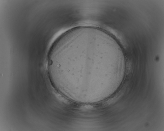 X0000094221462200711241711