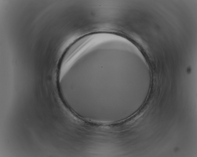 X0000094221463200711241711