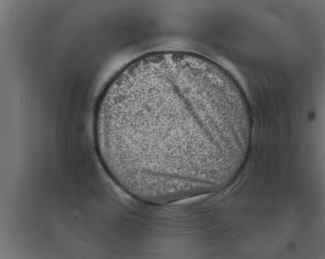 X0000094221464200711241711