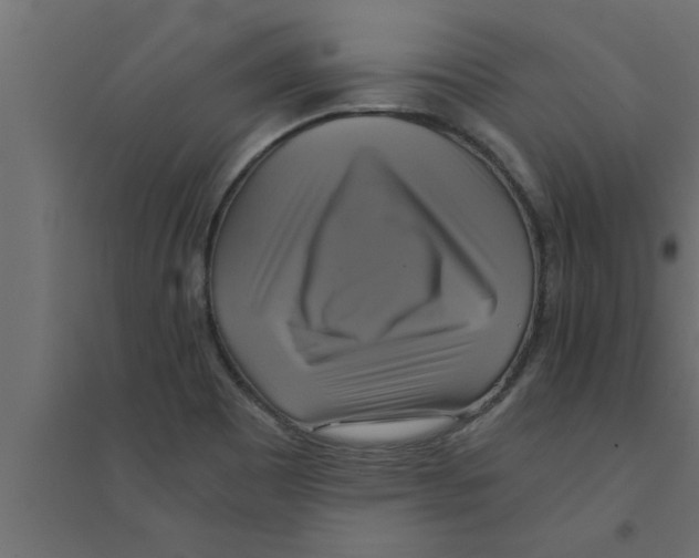 X0000094221465200711241711