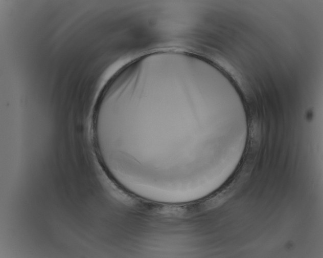 X0000094221466200711241711