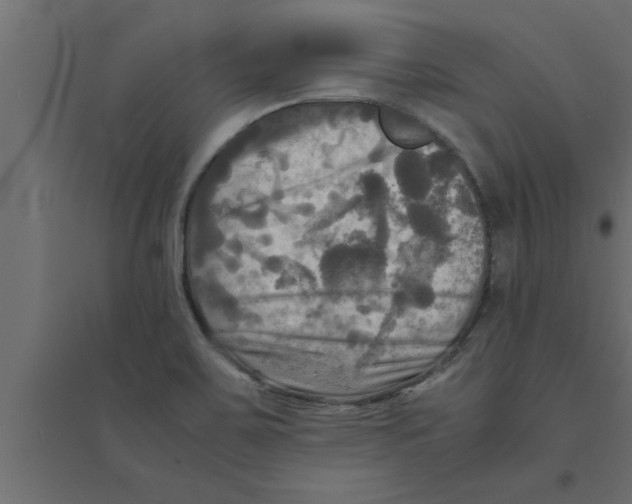 X0000094221467200711241711