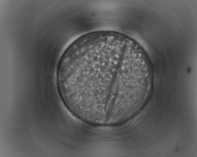 X0000094221468200711241711