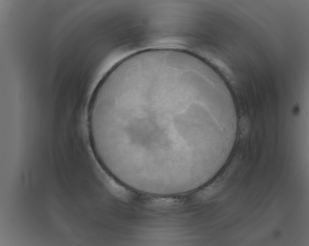 X0000094221470200711241711