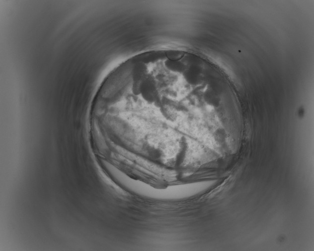 X0000094221471200711241711