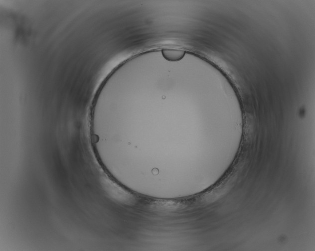 X0000094221474200711241711