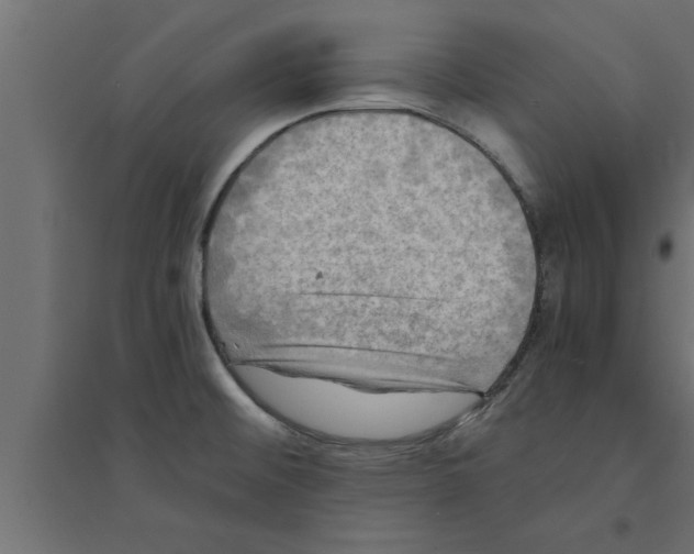 X0000094221476200711241711