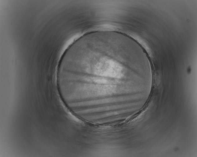 X0000094221477200711241711