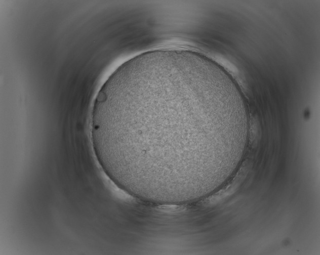 X0000094221478200711241711