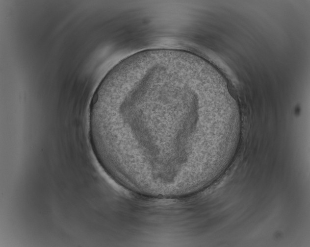 X0000094221479200711241711