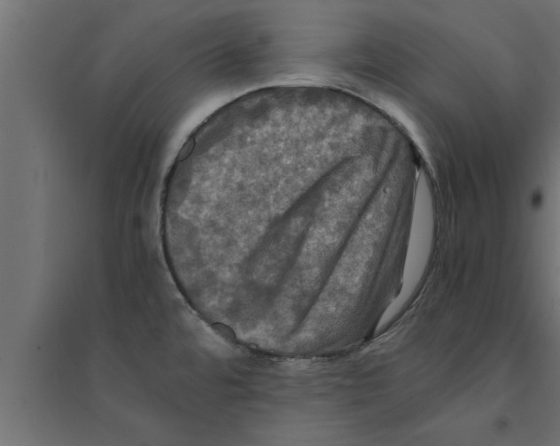 X0000094221480200711241711