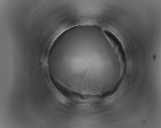 X0000094221481200711241711