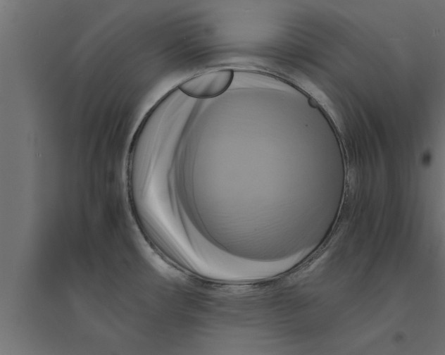 X0000094221482200711241711