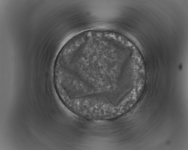 X0000094221483200711241711