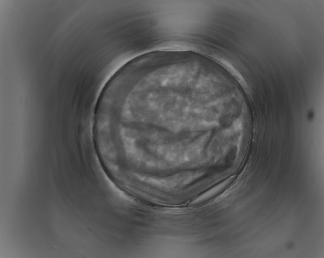 X0000094221484200711241711