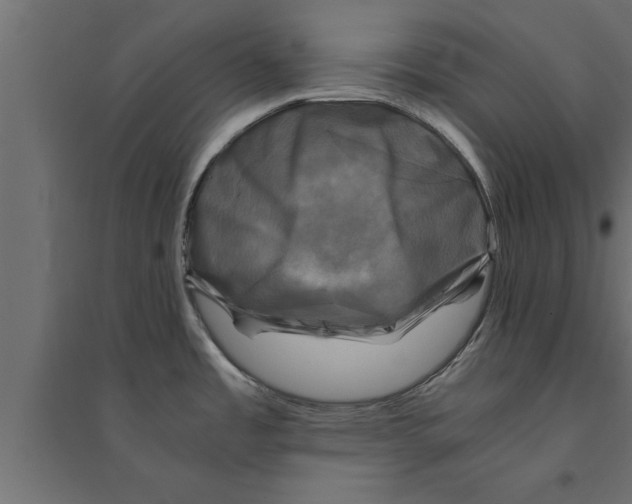 X0000094221485200711241711