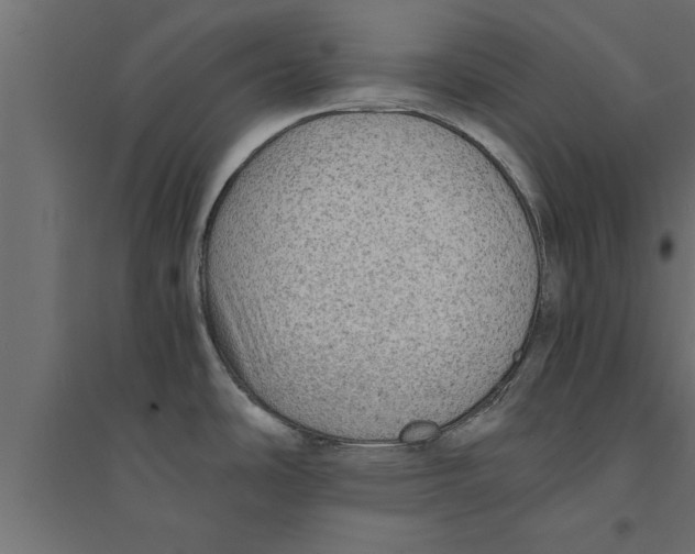 X0000094221486200711241711