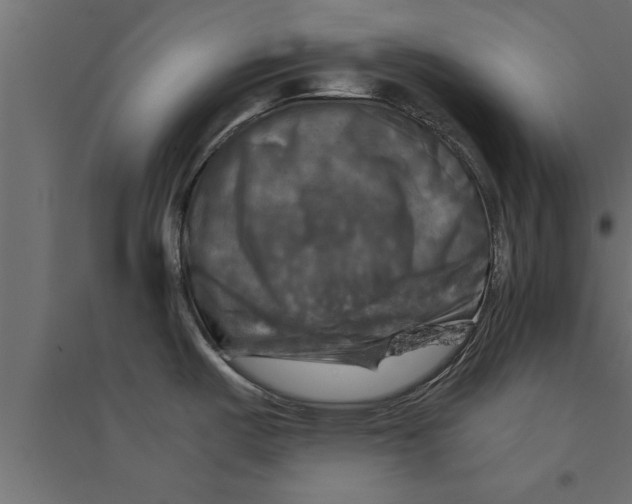 X0000094221487200711241711