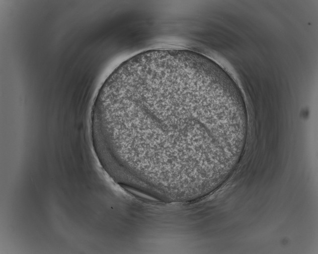 X0000094221488200711241711