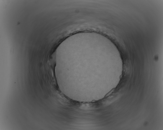 X0000094221490200711241710