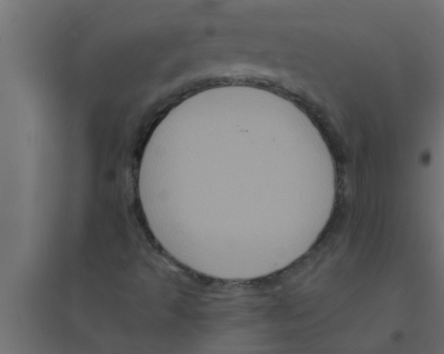 X0000094221493200711241710