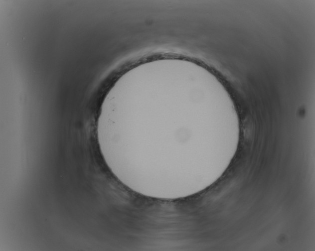 X0000094221495200711241710