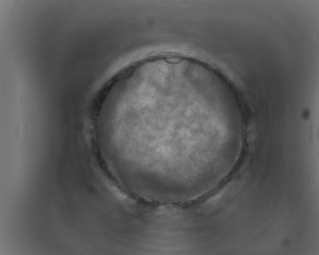 X0000094221496200711241710