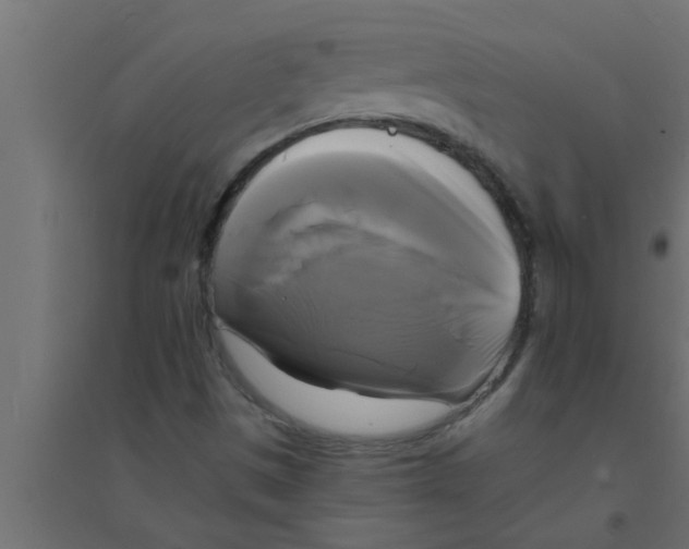 X0000094221497200711241710