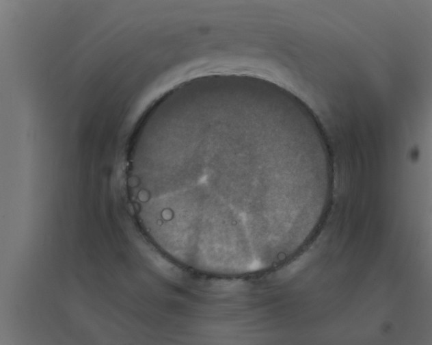 X0000094221498200711241710