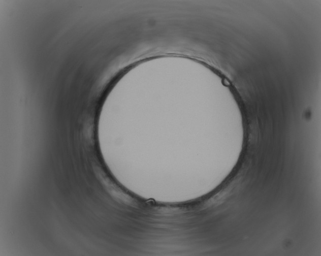 X0000094221499200711241710