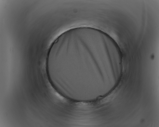 X0000094221500200711241710