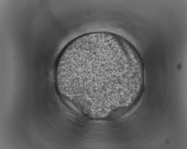 X0000094221501200711241710