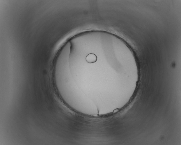 X0000094221502200711241710