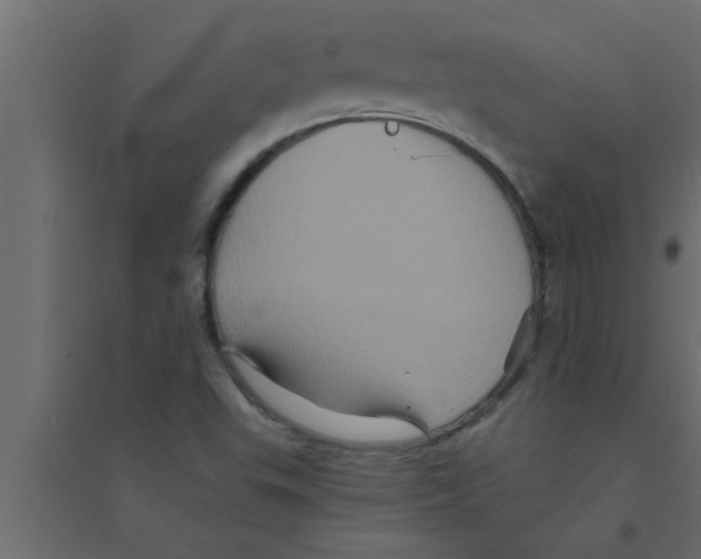 X0000094221503200711241710