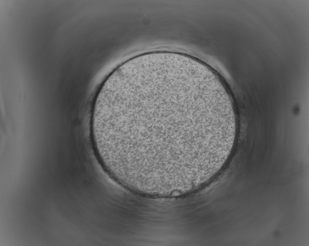 X0000094221504200711241710