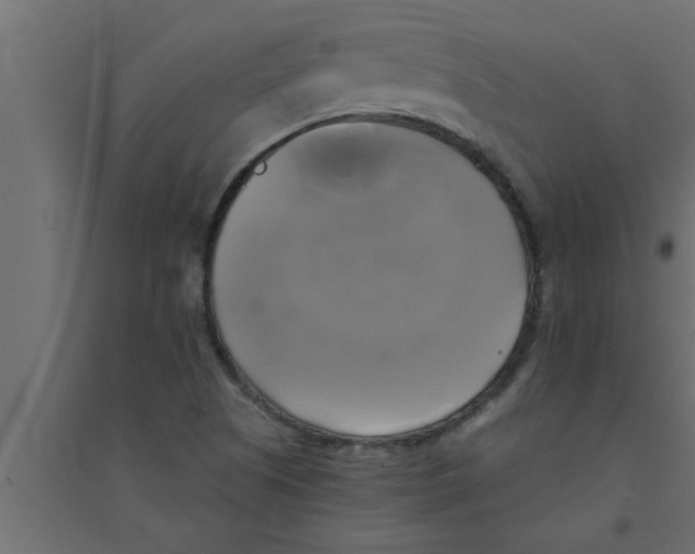 X0000094221505200711241710