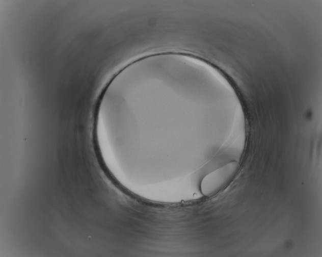 X0000094221508200711241710