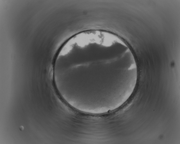 X0000094221509200711241710