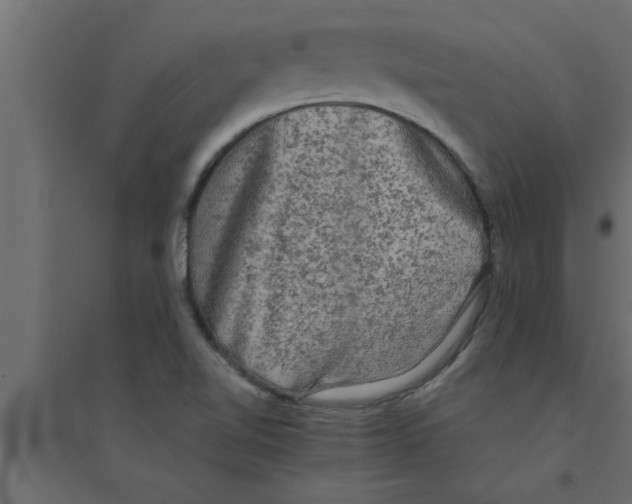 X0000094221510200711241710