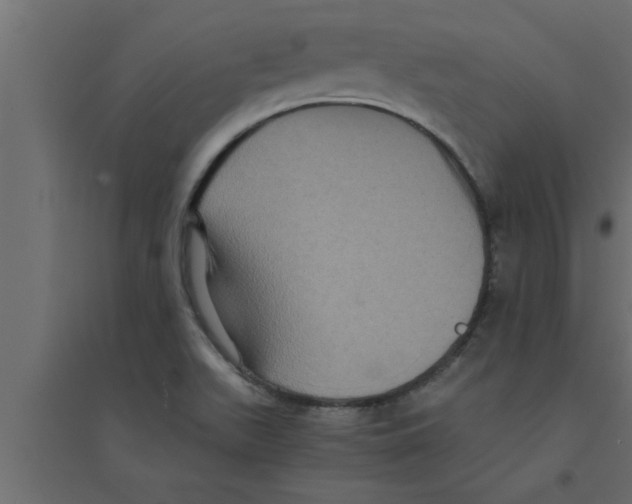 X0000094221511200711241710