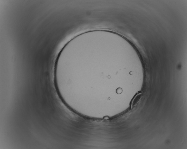 X0000094221512200711241710