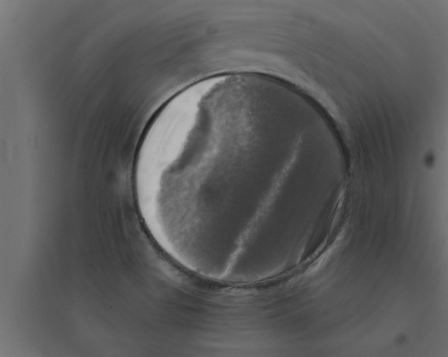 X0000094221513200711241710