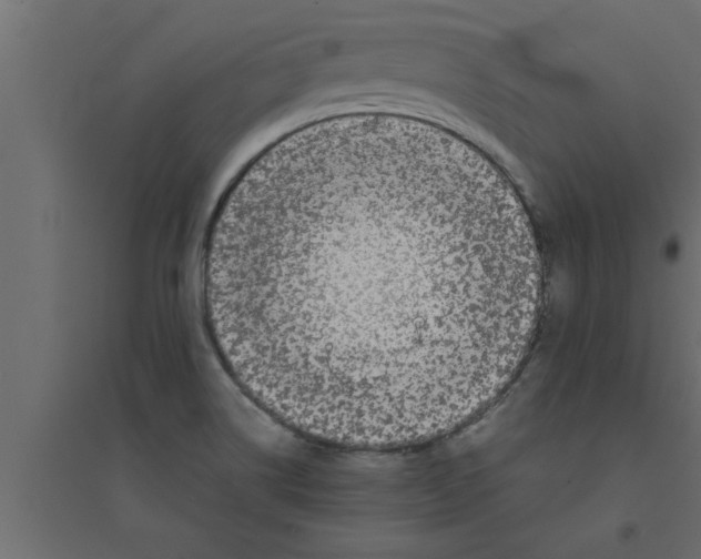 X0000094221514200711241710