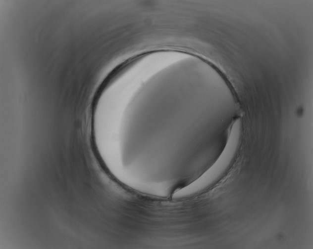 X0000094221515200711241710