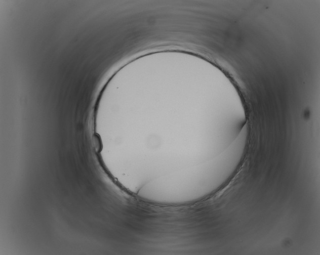 X0000094221516200711241710