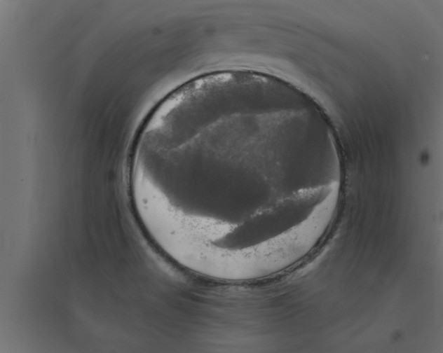 X0000094221517200711241710