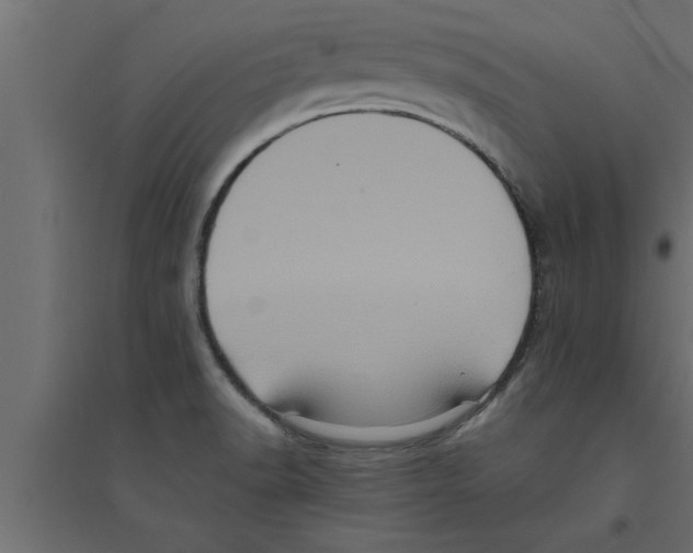 X0000094221518200711241710