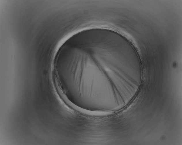 X0000094221520200711241710